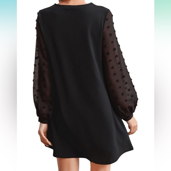 Elegant Black Dress with Sheer Sleeves - Picture 2 of 4